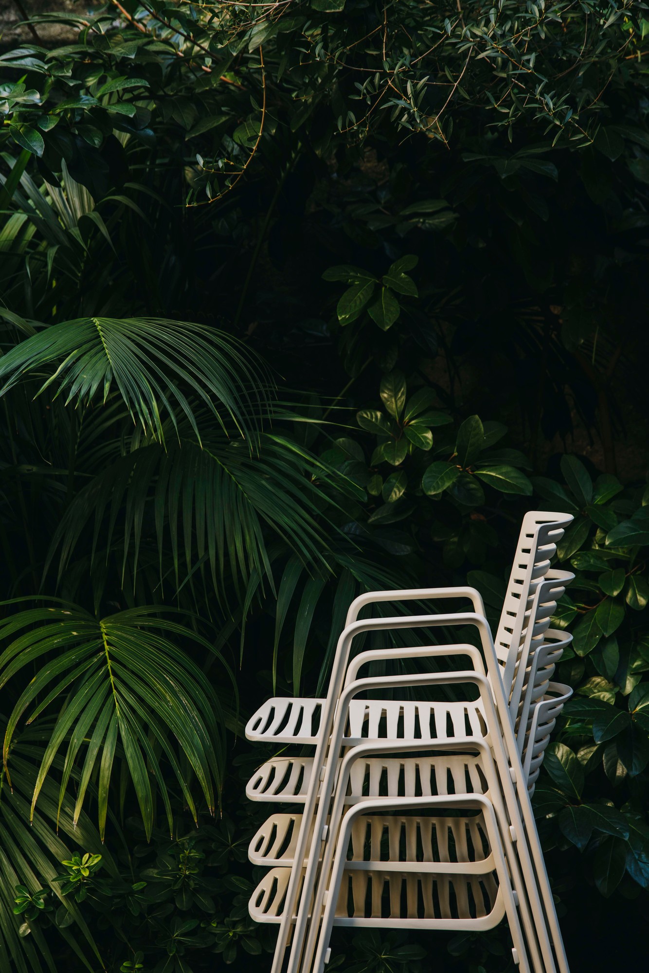 Zebra Outdoor Stuhl Fast