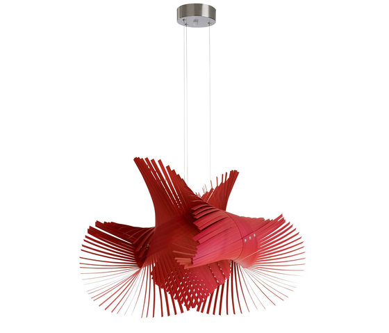 Rote Mikado Pendelleuchte von LZF Lamps: Moderne Hängeleuchte aus Holzfurnier für stilvolle Beleuchtung.