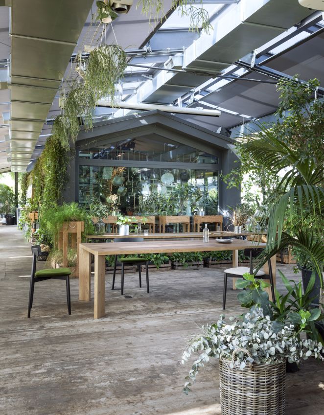 Manero Esstisch von Miniforms, ein großer Holztisch mit Stühlen in einem hellen Raum.