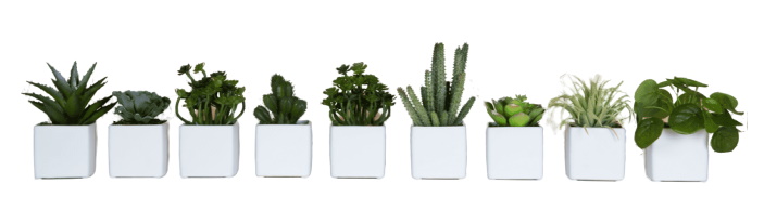 Phoenix Mini Sukkulenten 9er-Set: Dekorative Kunstpflanzen in weißen Würfel-Töpfen für stilvolle Zimmerdekoration.