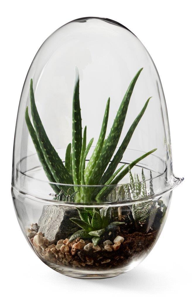 Grow XL Gewächshaus von Design House Stockholm mit Aloe Vera und Steinen im Glas.