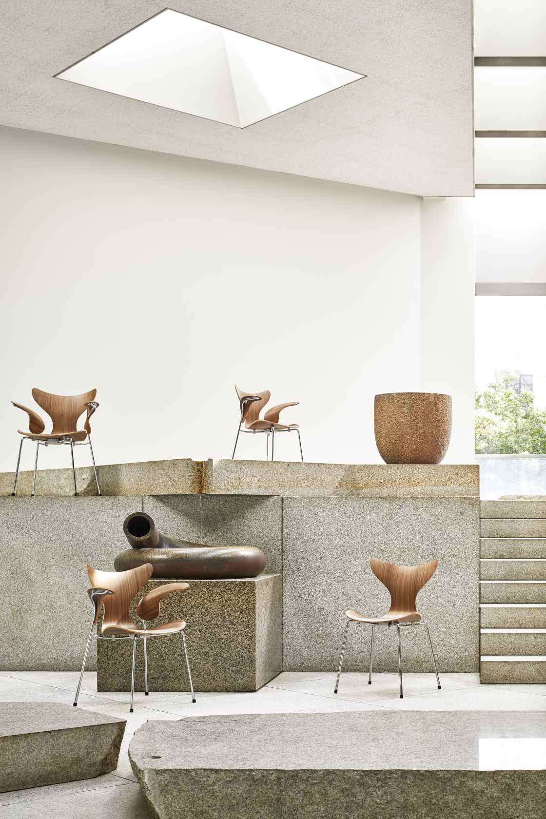 Mehrere Lily Stühle von Fritz Hansen, Holz und Chrom, in modernem Ausstellungsraum. Designklassiker.