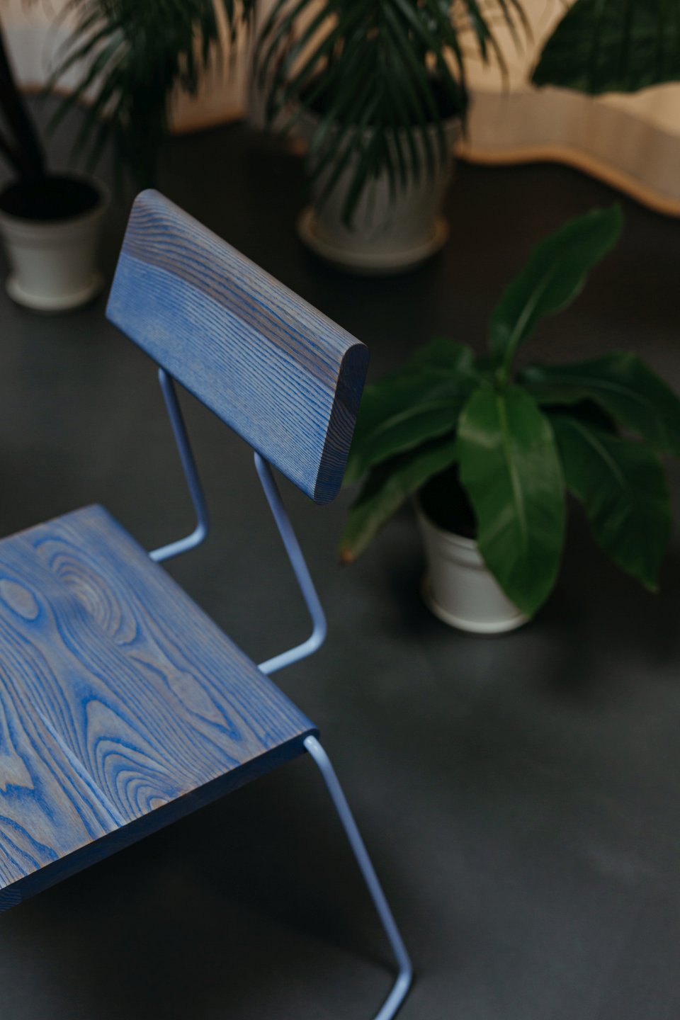 Blauer Holzstuhl "D:005" von Fuchs & Habicht, modernes Design mit minimalistischem Metallgestell.