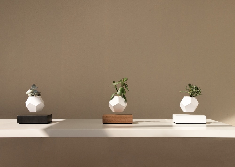 Drei schwebende Lyfe Vasen mit Pflanzen, moderne Dekoration für Zuhause und Büro.