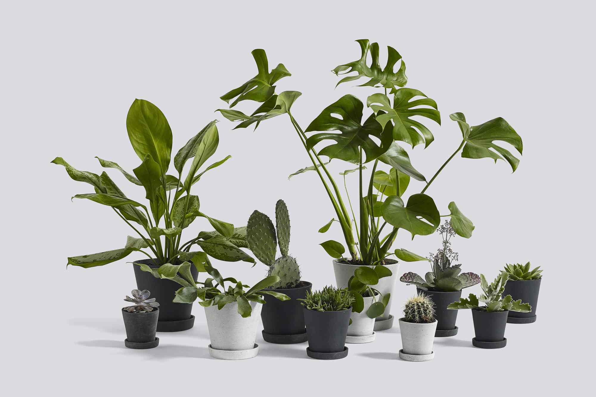 Flowerpot with Saucer XL Blumentopf mit Untersetzer Hay