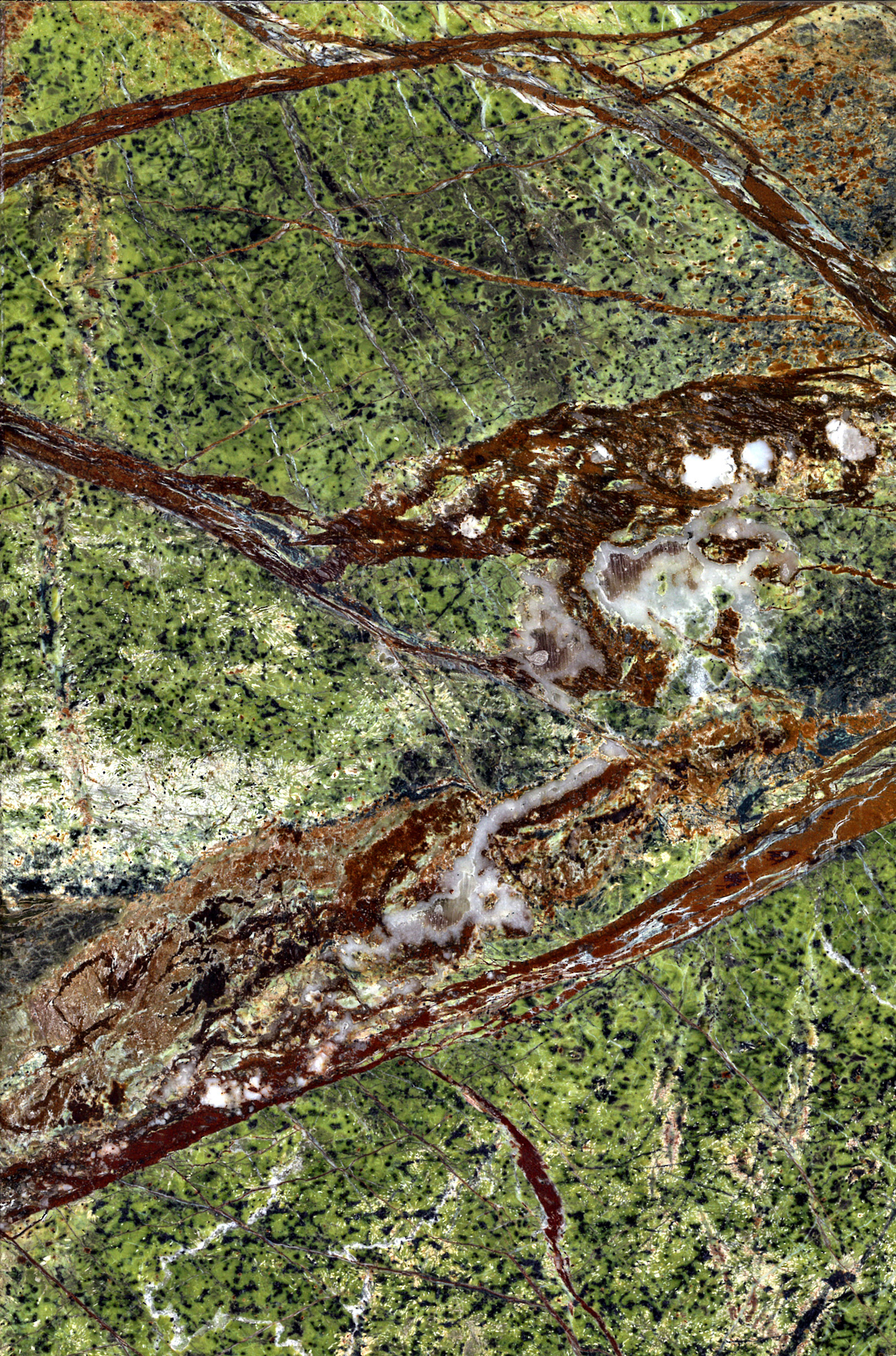 Tischplatte Marmor Rainforest green für ClassiCon Bell Side Table Beistelltisch, Detailaufnahme der grünen Marmorstruktur.