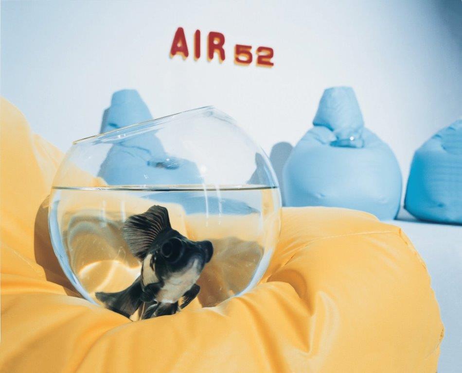 Gelber Sacco Sitzsack mit Goldfischglas; Zanotta Sitzsäcke im Hintergrund, modernes Wohnaccessoire.