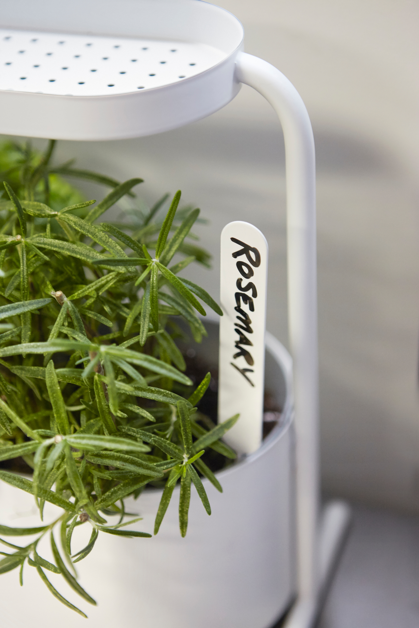 Giardino Planter Kräutertopf Umbra EINZELSTÜCK