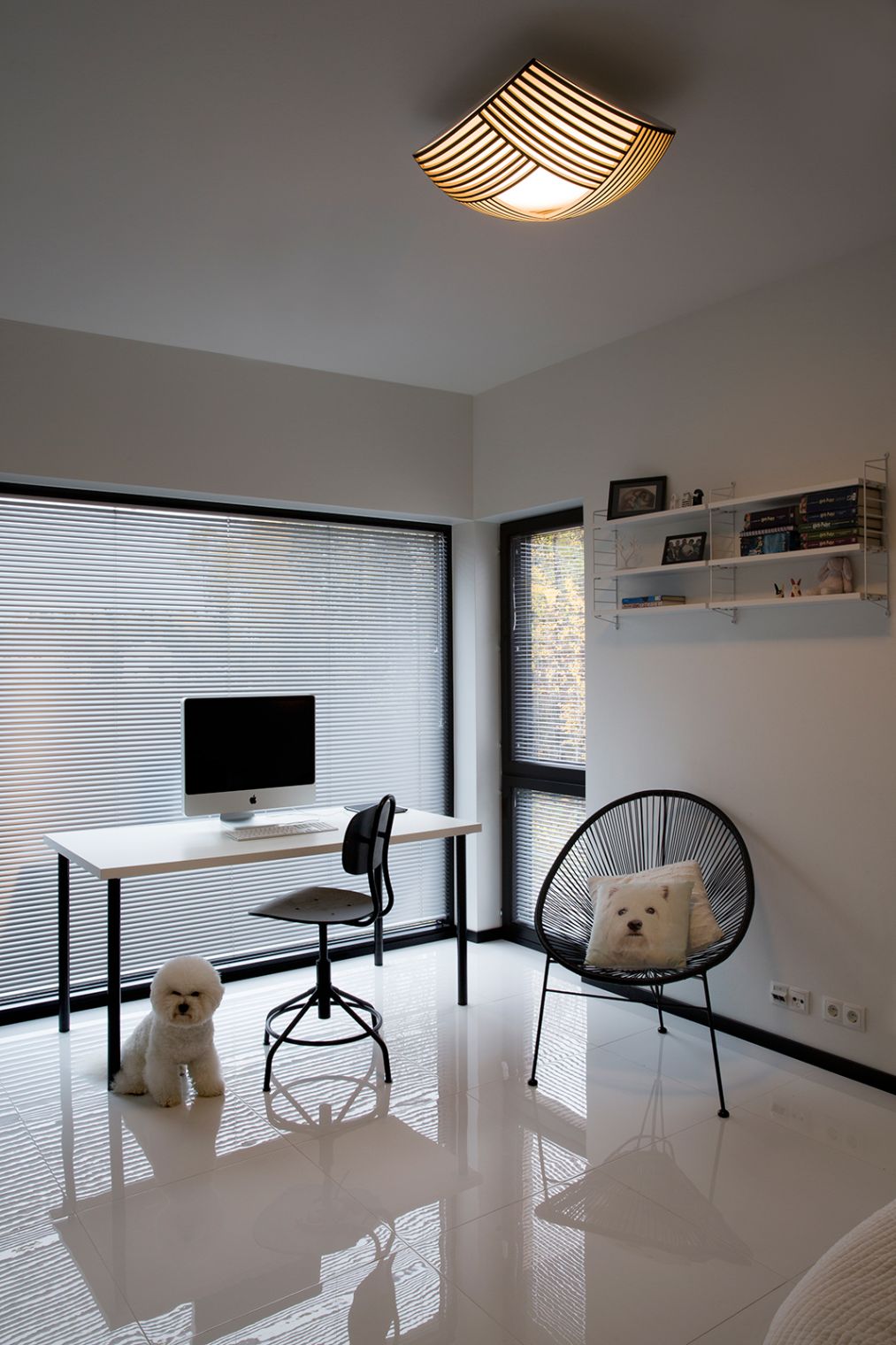 Kuulto 9100 Deckenleuchte von Secto Design aus Birke im modernen Arbeitszimmer mit Hund.