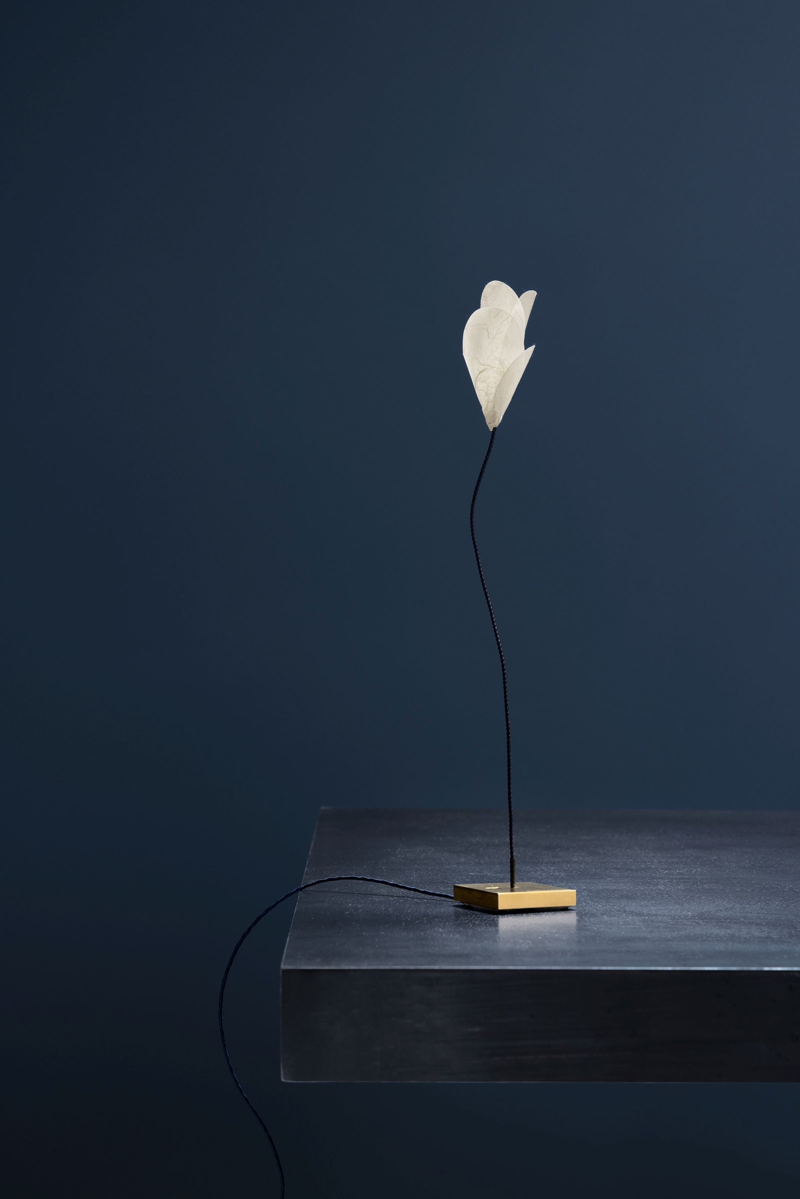 For You Tischleuchte von Catellani & Smith: Elegante USB Lampe mit floralem Lampenschirm.