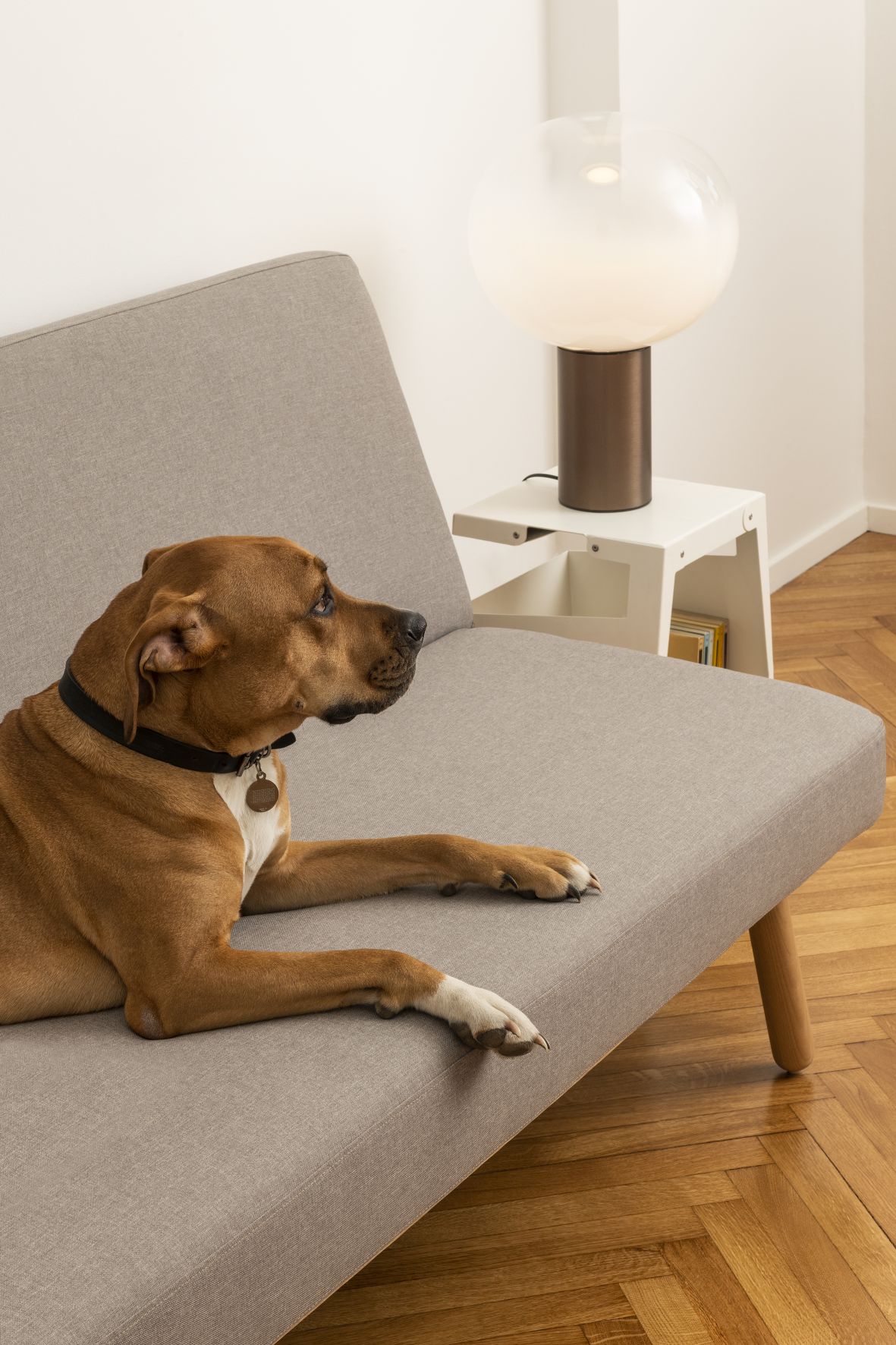 Laguna Tischleuchte von Artemide neben einem Hund auf einem Sofa. Moderne Lampe mit indirektem Licht.