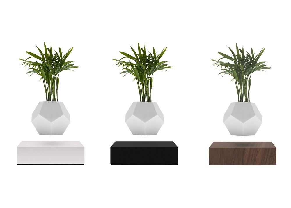 Lyfe schwebende Vase mit Pflanze in verschiedenen Farben: Weiß, Schwarz und Ahorn.