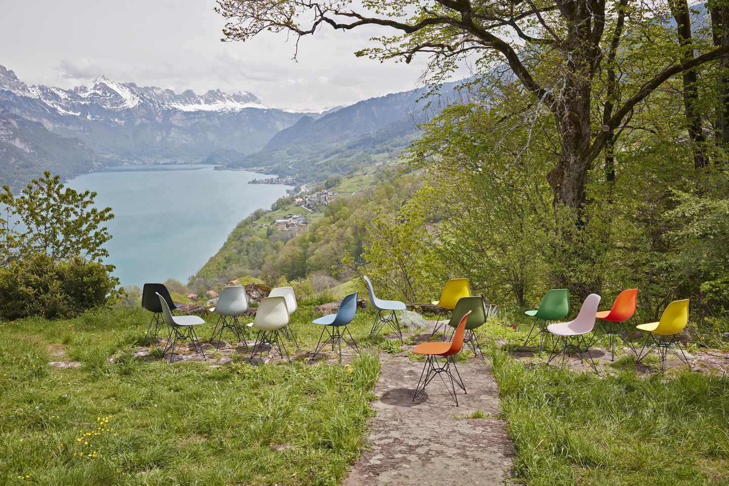 Eames Plastic Arm Chair DAW Stuhl Vitra Ahorn gelblich - Weiss