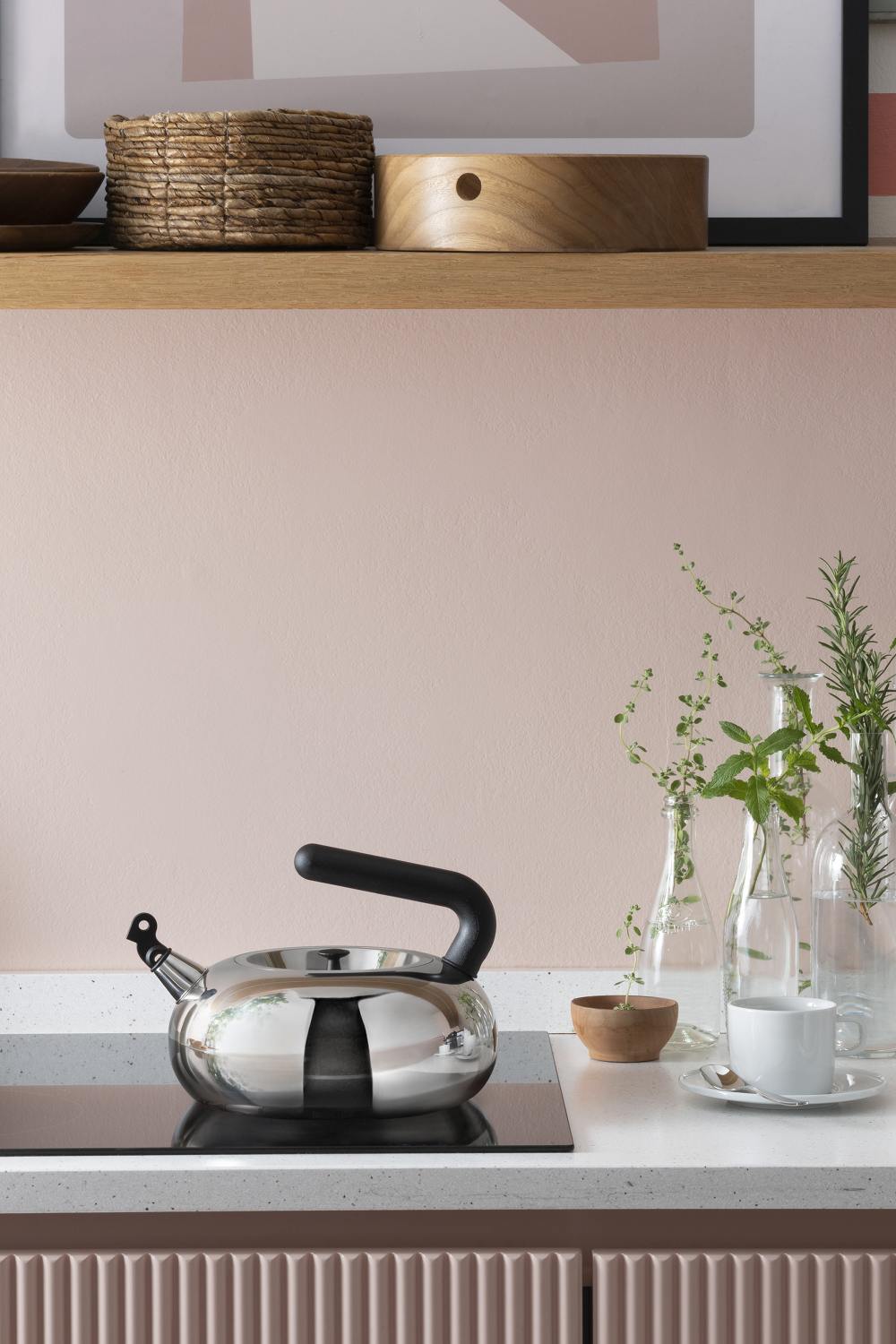 Irony Bulbul Wasserkessel AC100 Alessi LIMITED EDITION EINZELSTÜCK