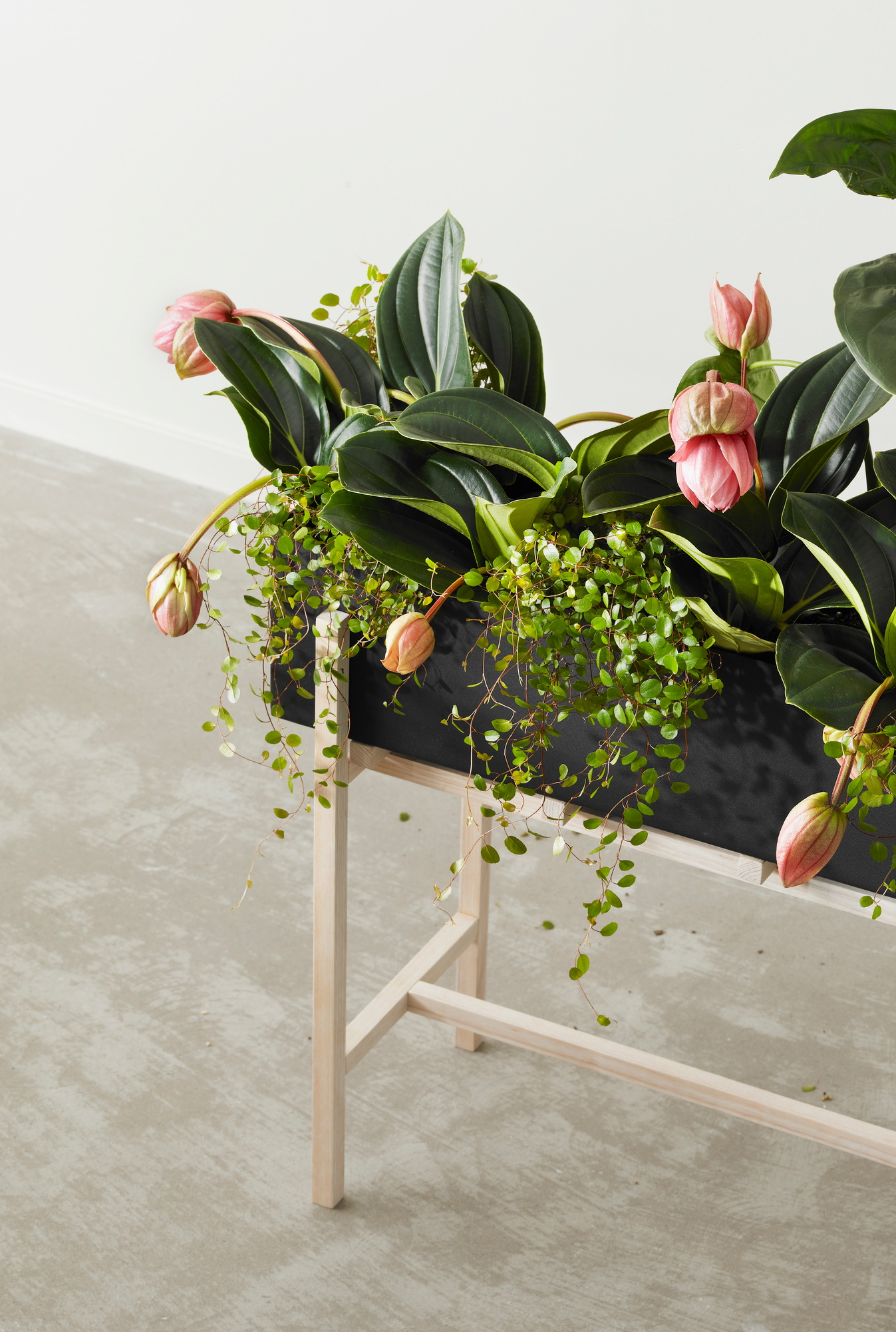 Botanic Flower Stand Blumenkasten mit rosa Blüten und grünen Blättern auf hellem Holzgestell.