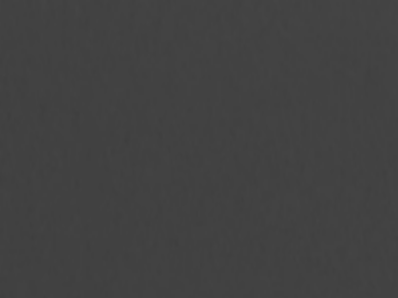 Birke anthrazit lackiert