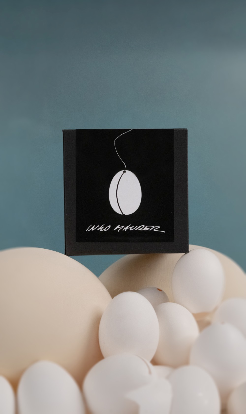 Produktverpackung der Reality Pendelleuchte von Ingo Maurer, stilvolle Designerlampe für moderne Wohnräume.