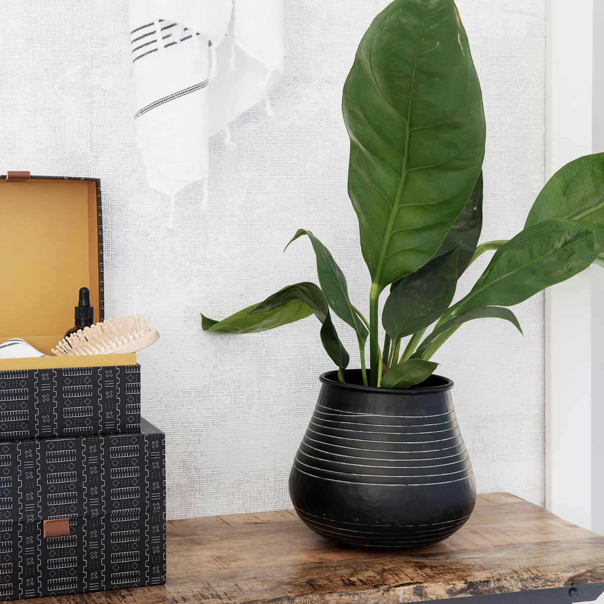 Schwarzer Stribe Blumentopf von house doctor mit horizontalen Linien und grüner Pflanze auf einem Holztisch.
