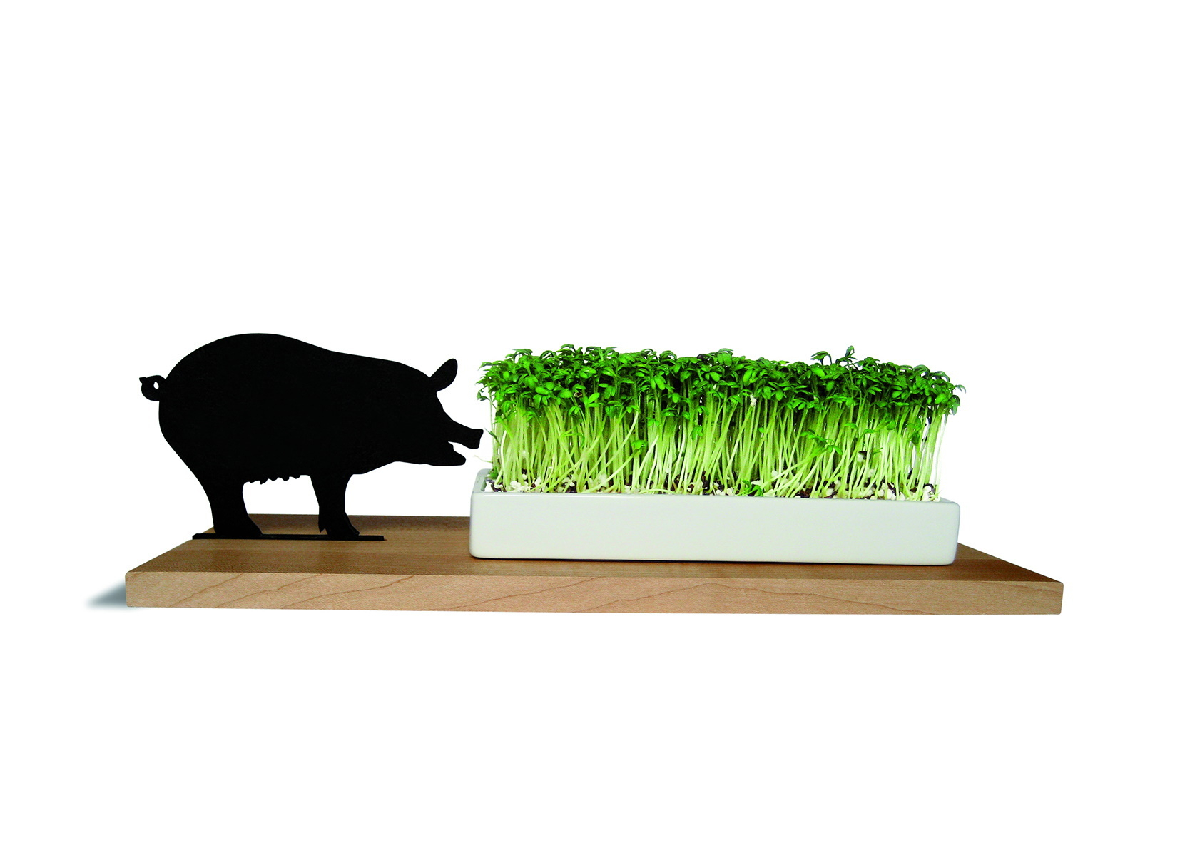 Smart 'n' green Kresseschale: Schwein Silhouette neben Kresse in weißer Schale auf Holzbrett.