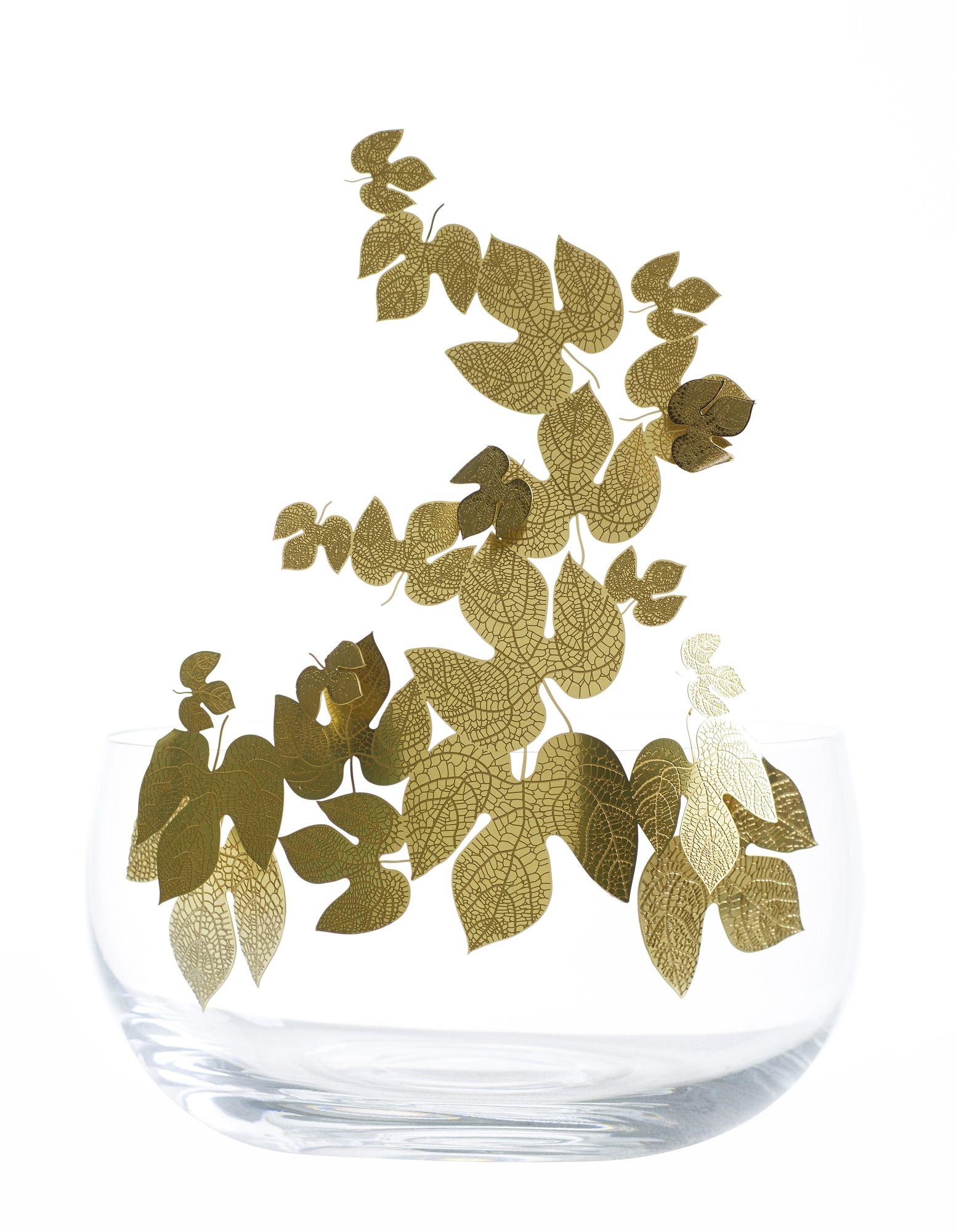 Frutteti Schale Opinion Ciatti