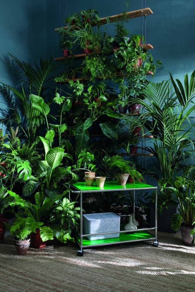 USM Haller Inos Box hoch mit Unterteilung quer / längs