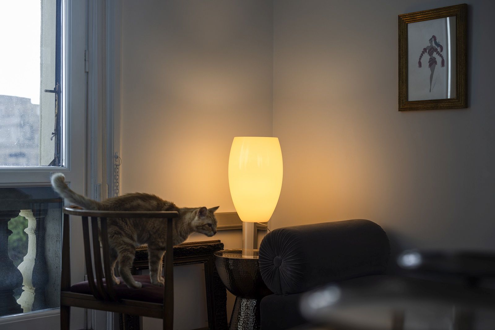 Nahaufnahme der Buds Tischleuchte von Foscarini, neben einer Katze auf einem Stuhl.