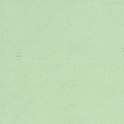 B0185 T - Leder beige