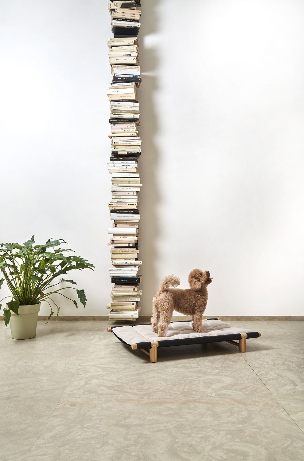 Brauner Pudel auf Berberé Transportable Hundebett mit Kissenbezug von Opinion Ciatti. Modernes, tragbares Hundebett.