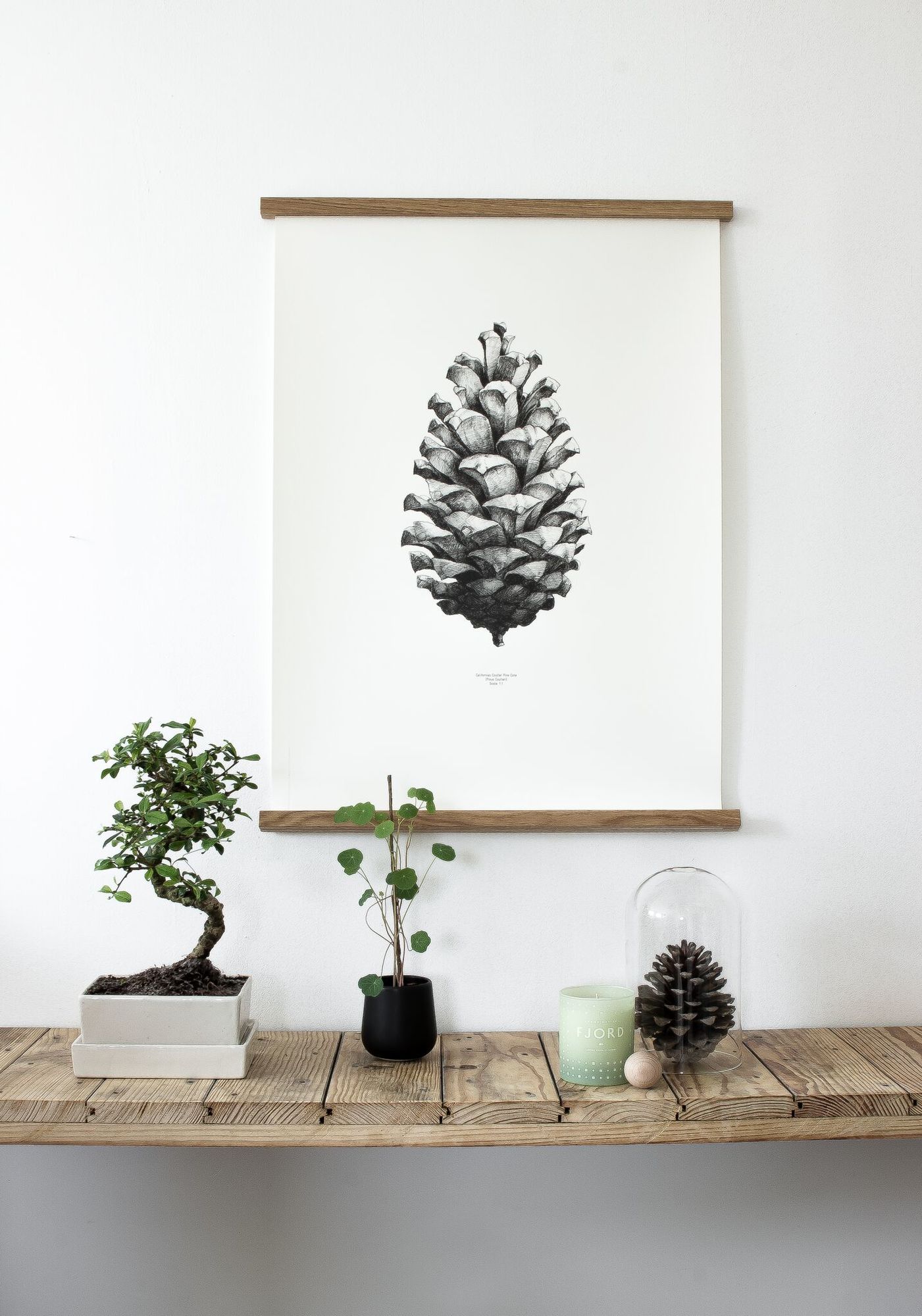 Walnuss Posterleiste 73 cm mit Kiefernzapfen-Poster, aufgehängt an einer Holzwand mit Dekoration.