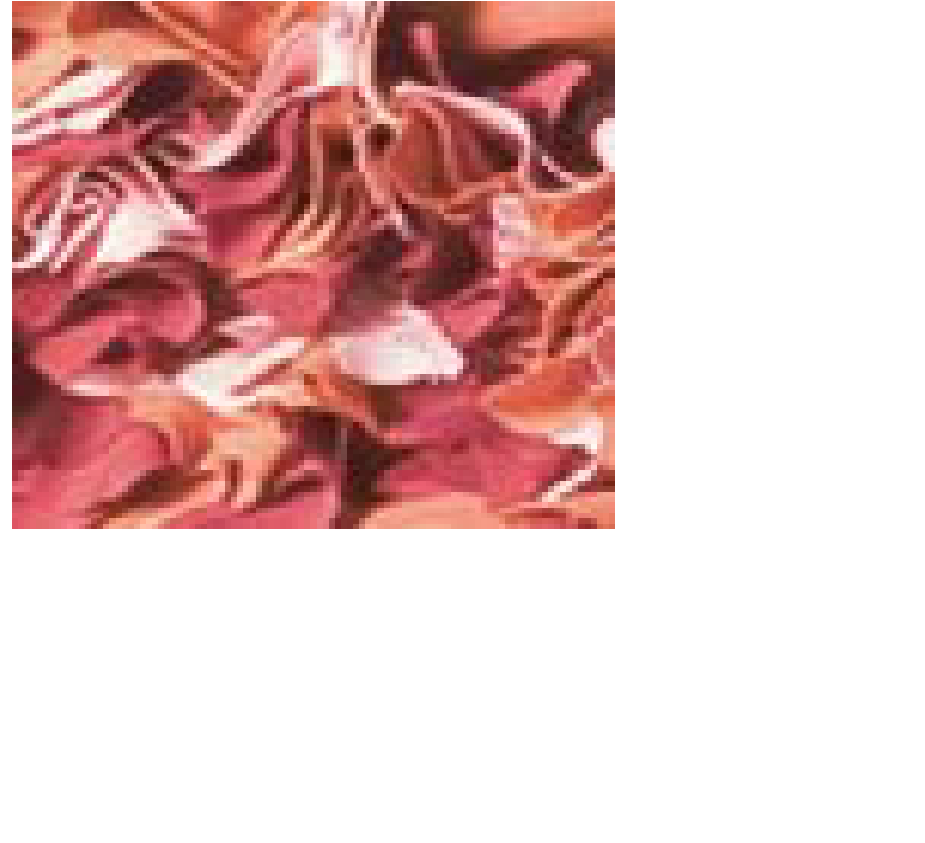 Blüten altrosa, orange / Rücken altrosa