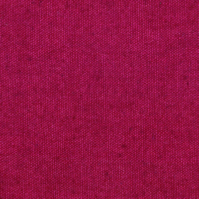 A4385 S - Indian rose