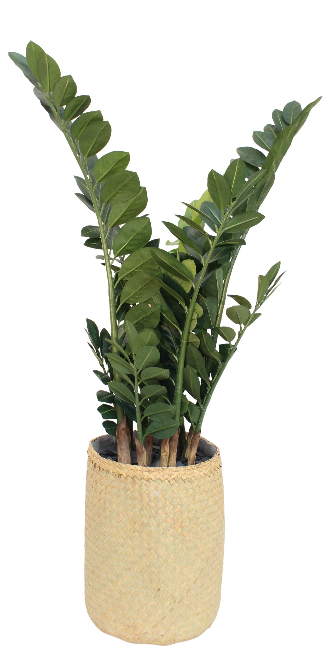 Nairobie Zamia Kunstpflanze im Korb: Dekorative Zimmerpflanze für ein stilvolles Zuhause.