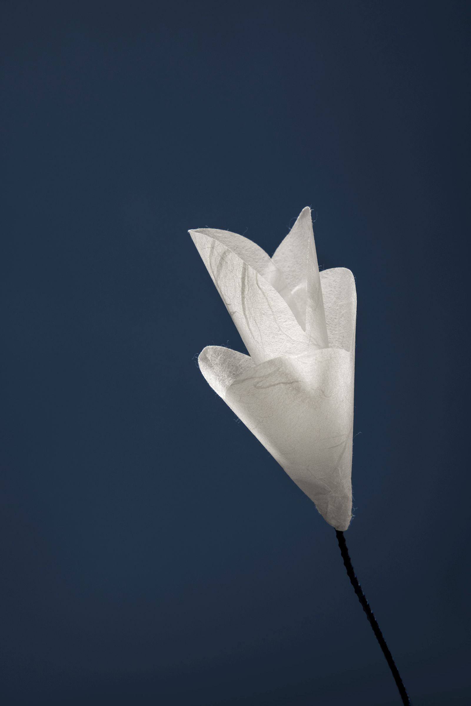 For You USB Tischleuchte Catellani & Smith