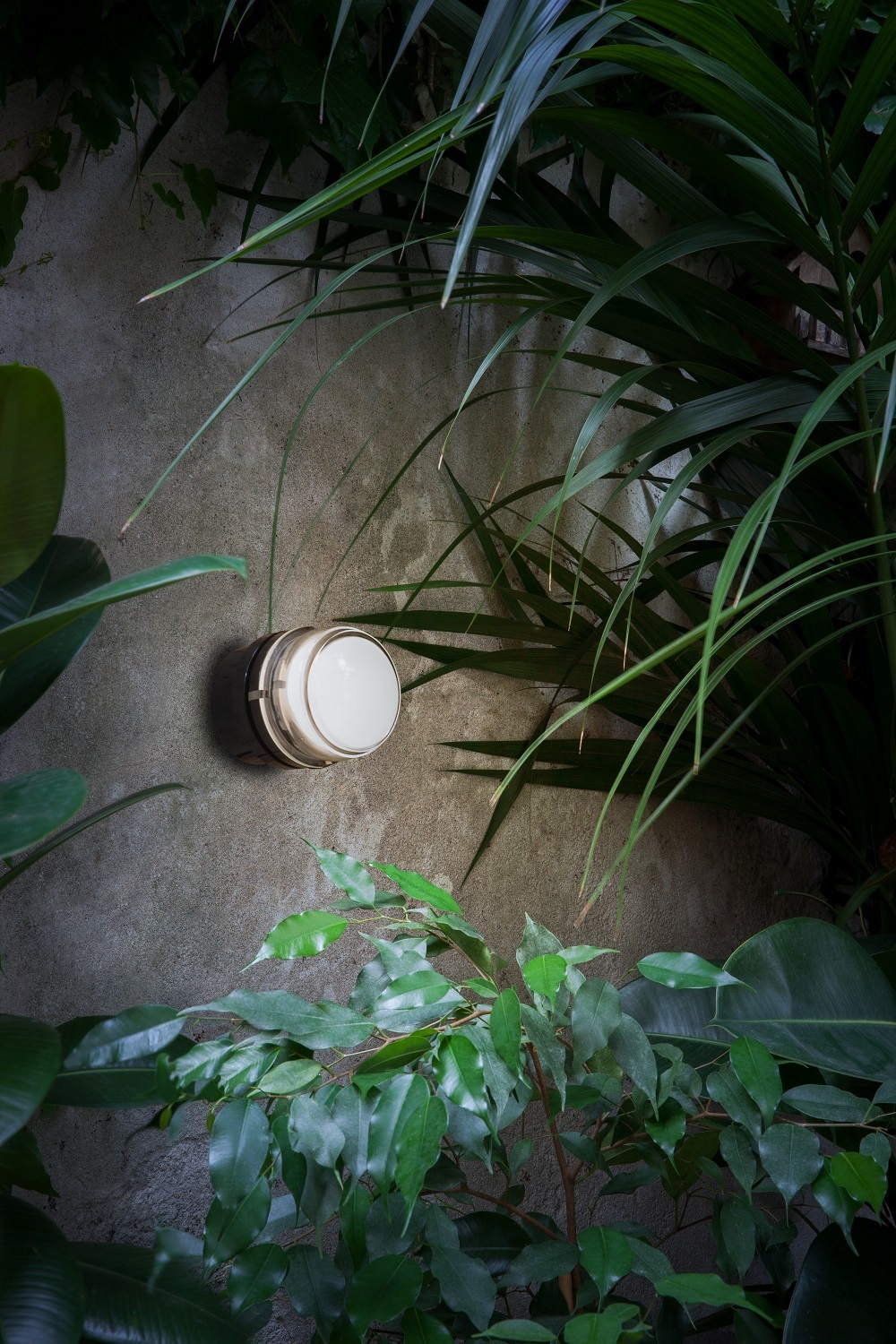 Fresnel 1148 Outdoor Wandleuchte, weiss/transparent, an einer Wand mit Pflanzen. Aussenleuchte für Garten.