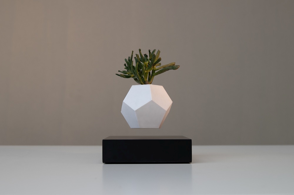 Lyfe schwebende Vase mit Pflanze über schwarzem Ahorn Sockel, modernes Design für Zuhause.