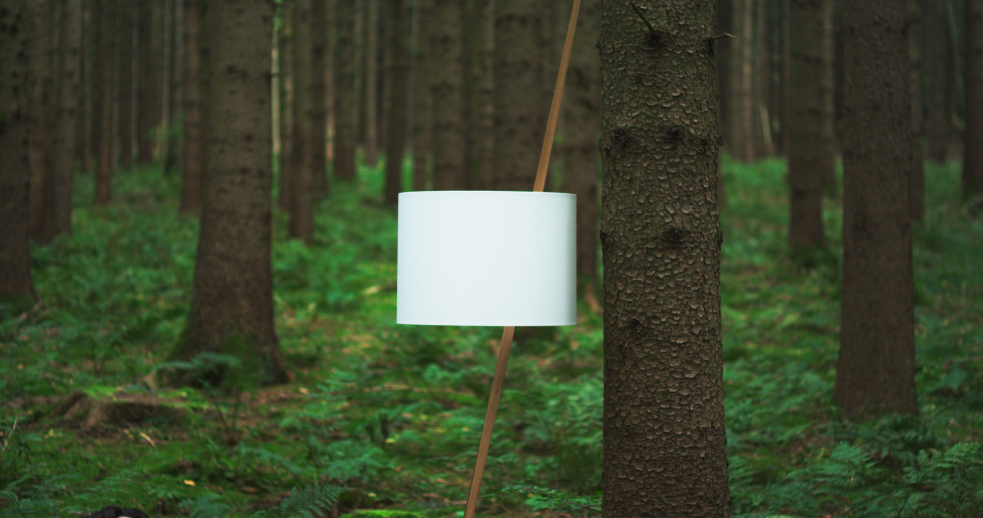 Luca Lean Anlehnleuchte von Maigrau: Stehleuchte aus geräucherter Eiche und bronzegrauem Metall im Wald.