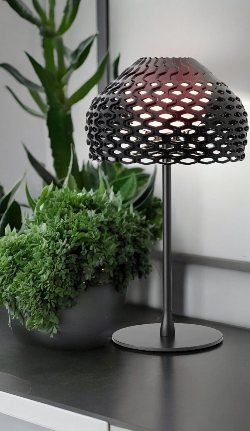 Schwarze Tatou T1 Tischleuchte von Flos mit filigranem Lampenschirm und warmem Licht neben grünen Zimmerpflanzen.