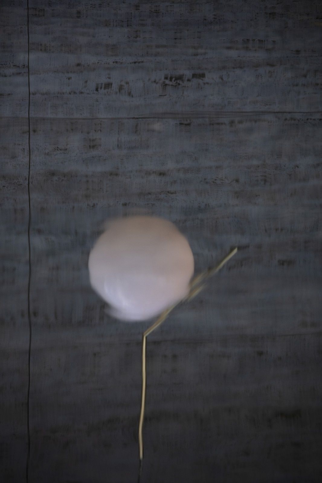 IC S2 Hängeleuchte von Flos in 24K Gold, moderne Pendelleuchte mit diffusem Licht.