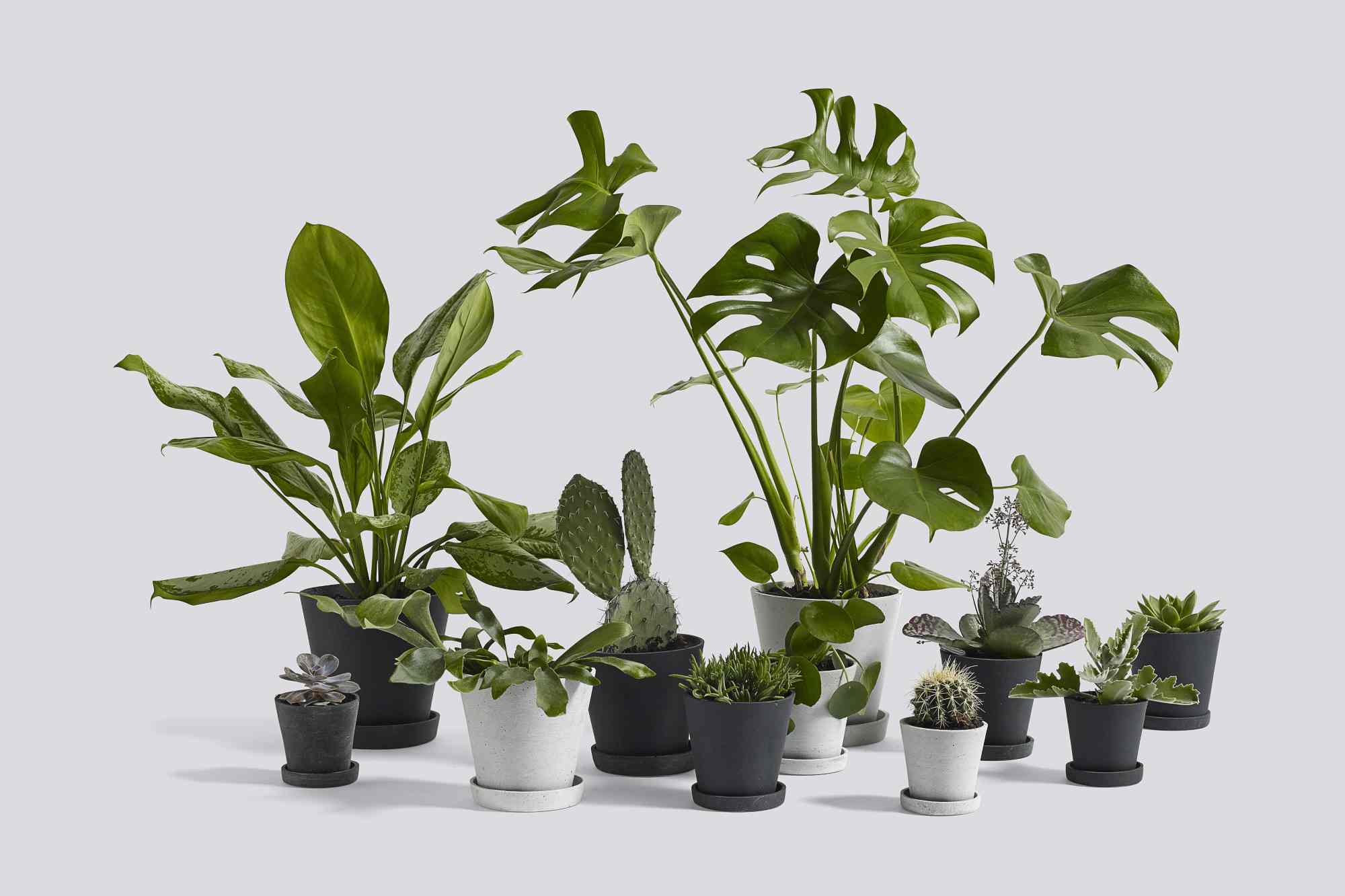 Flowerpot with Saucer M Blumentopf mit Untersetzer Hay