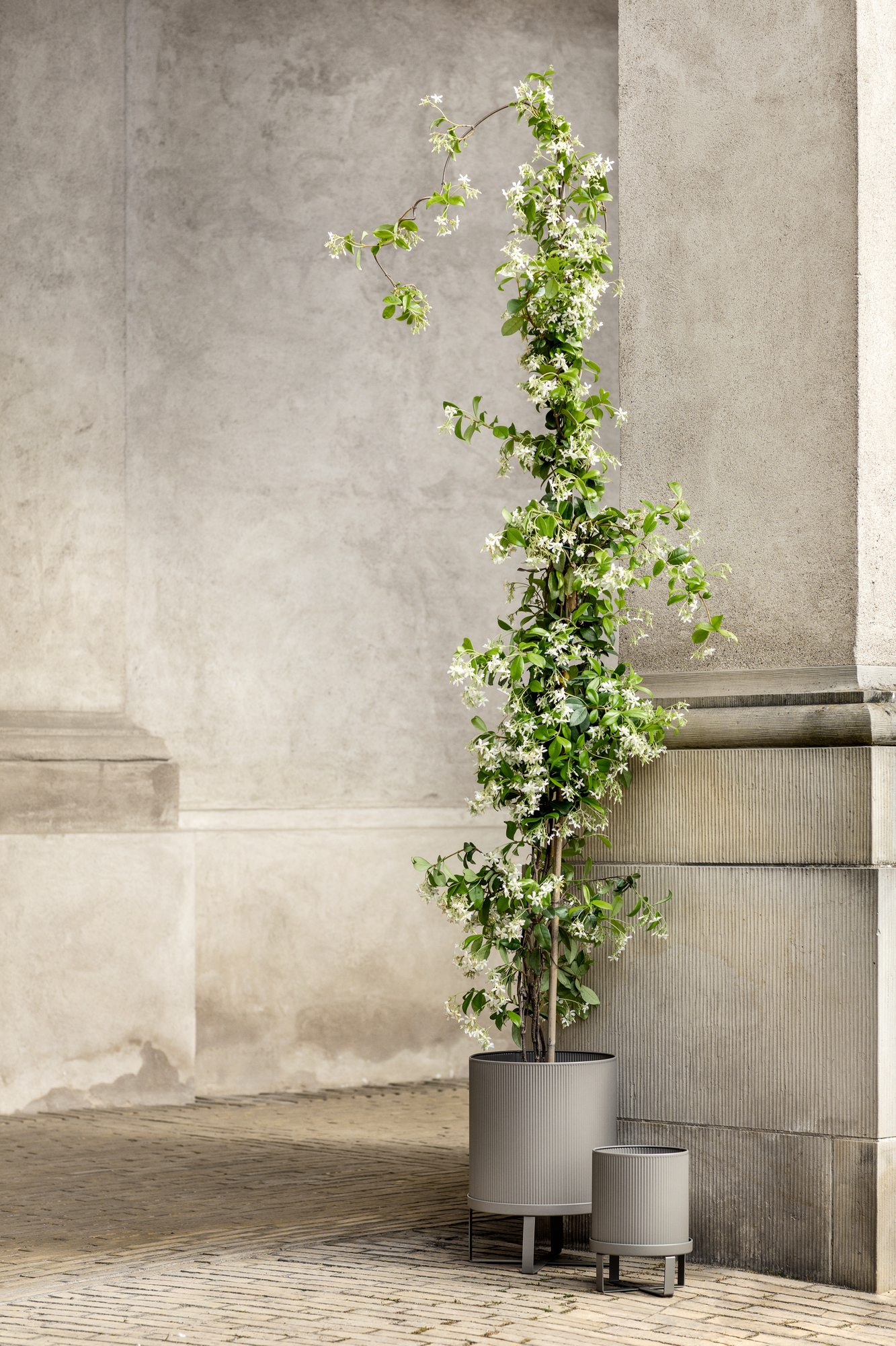 Bau Pot Blumentopf Groß Ferm Living Schwarz