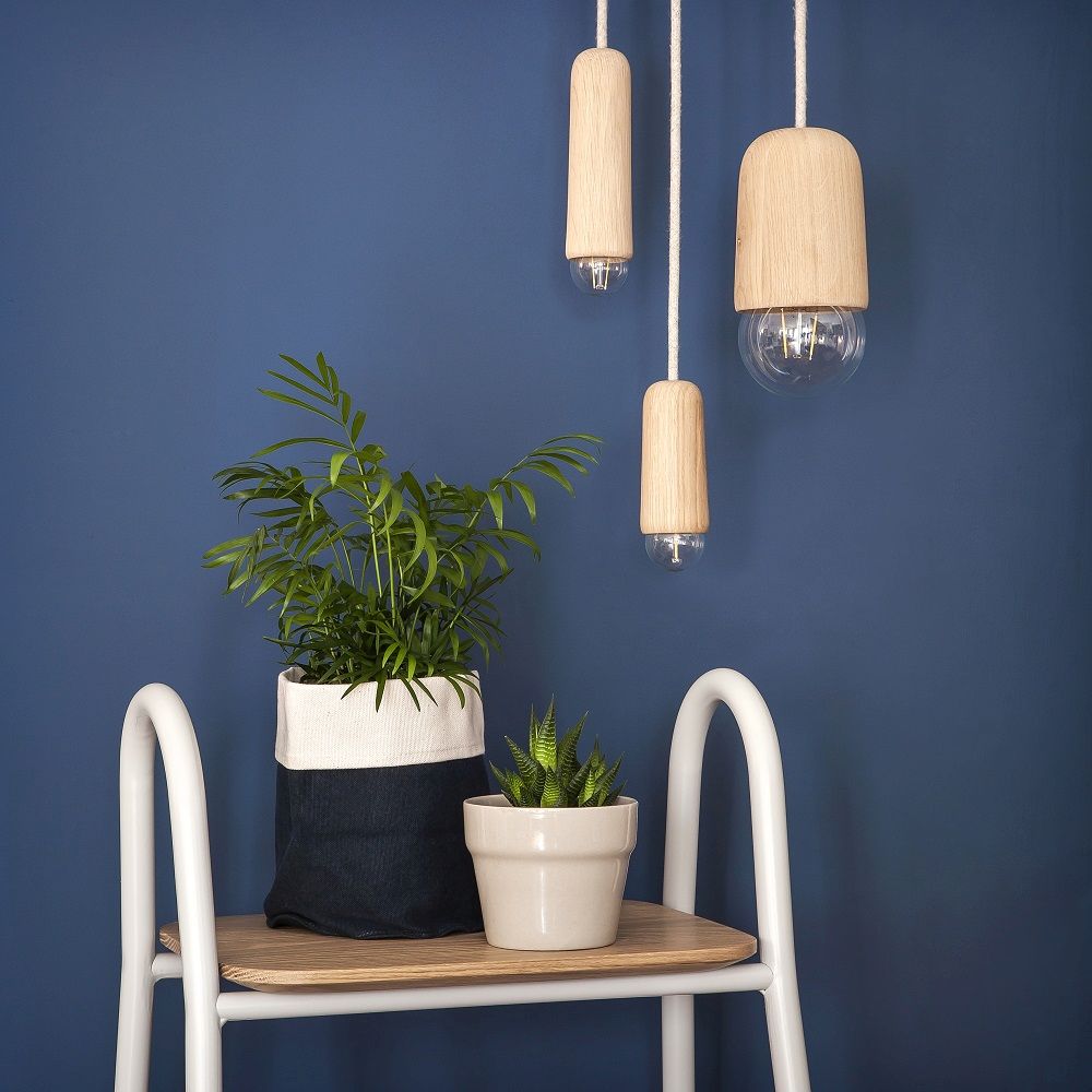 Drei Hartô Luce Pendelleuchten aus Eiche vor blauer Wand, mit Pflanzen.