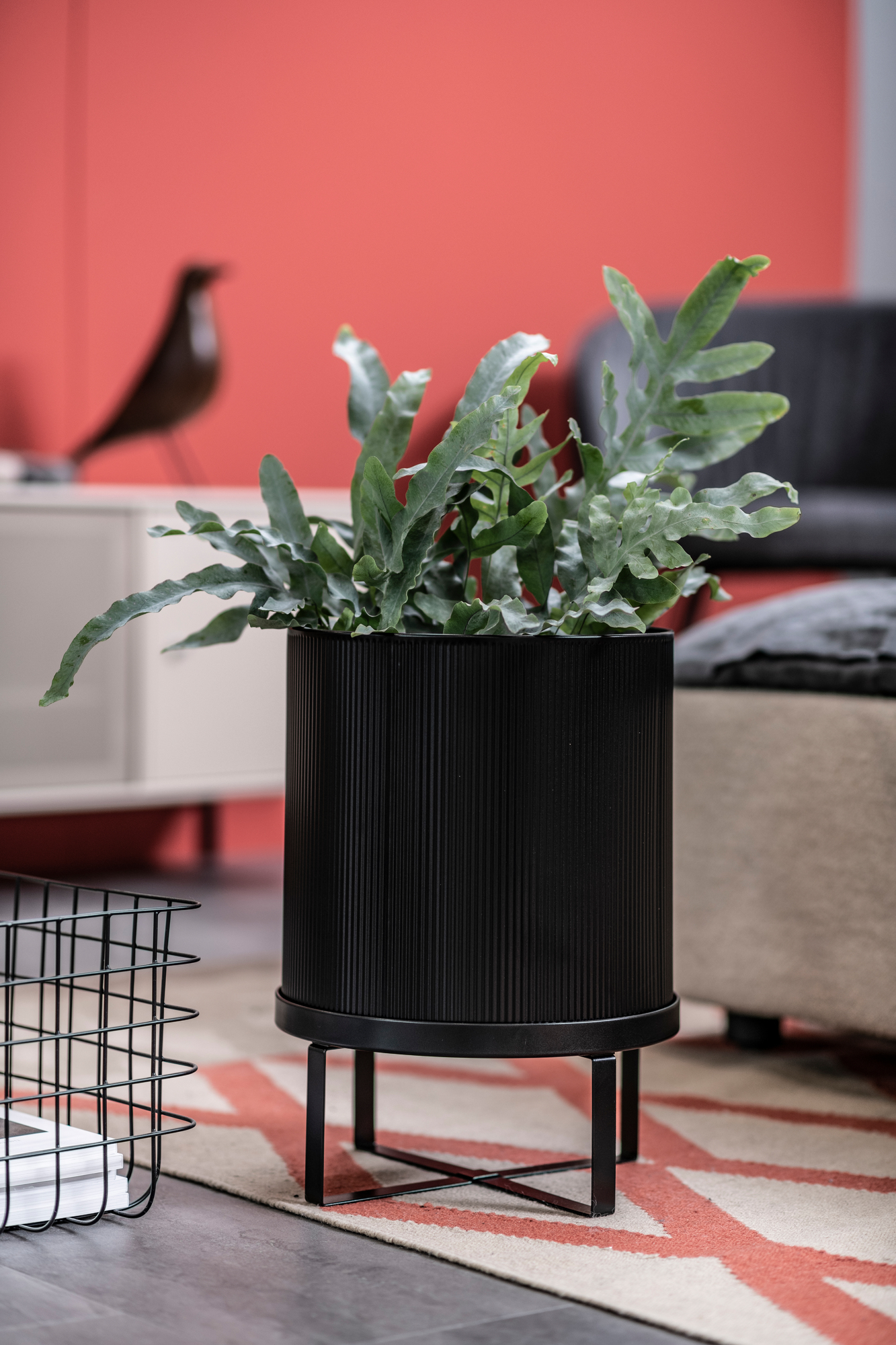 Großer, schwarzer Blumentopf von Ferm Living mit geriffelter Oberfläche und grüner Pflanze im Wohnzimmer.