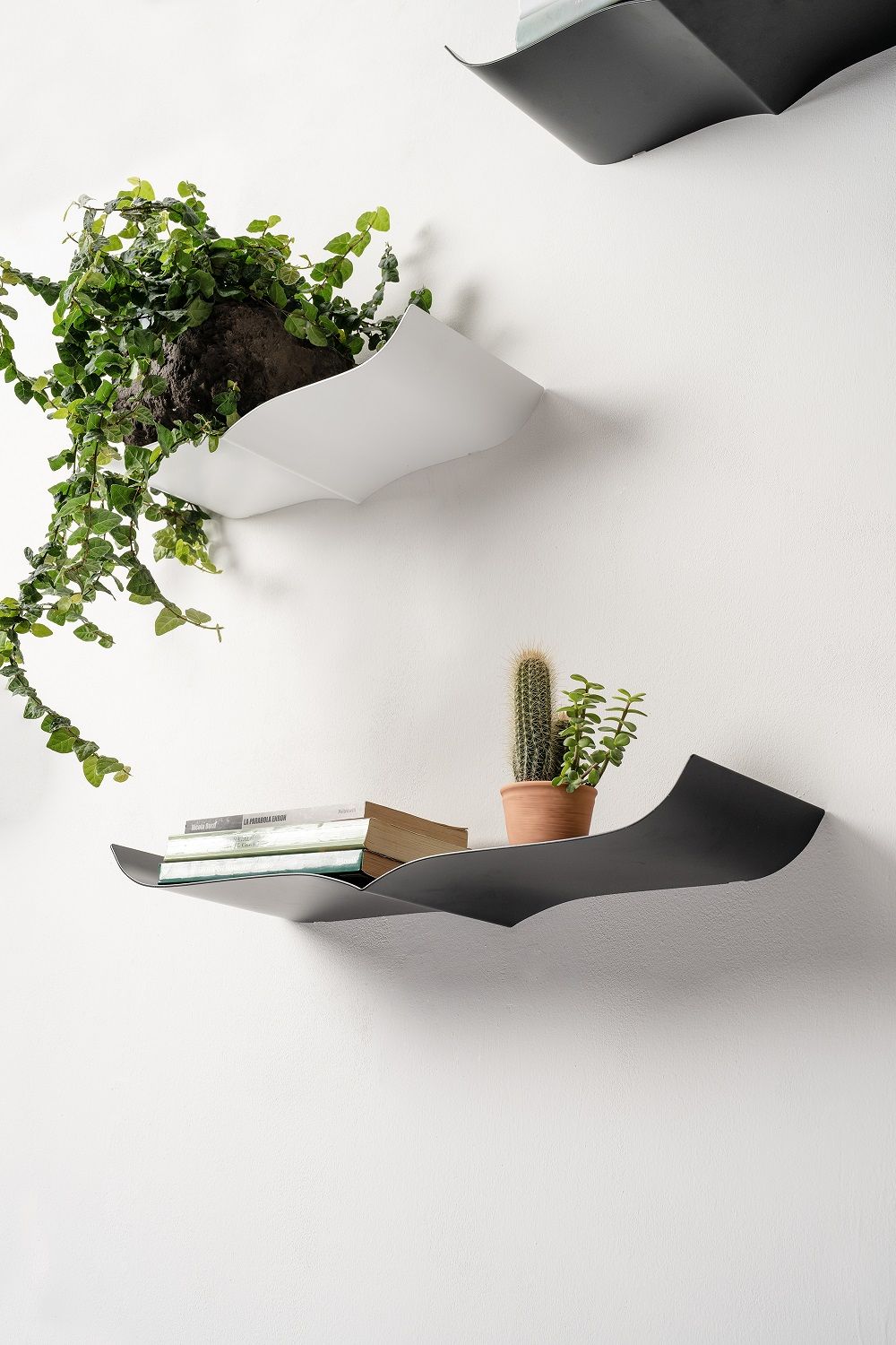 Nori Wandregal von Opinion Ciatti in Schwarz und Weiß mit Pflanzen und Büchern.