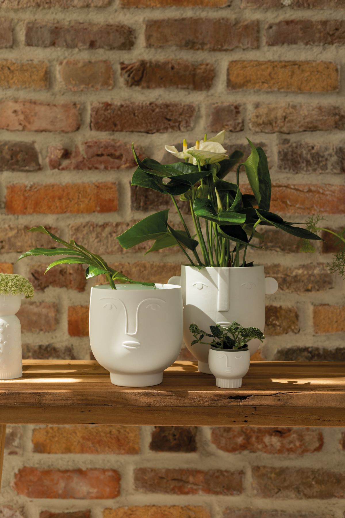 Weiße Naturgestalten Vase Flora von Räder mit stilisiertem Gesicht und Pflanzen auf Holzregal.