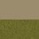 Beige-Grün