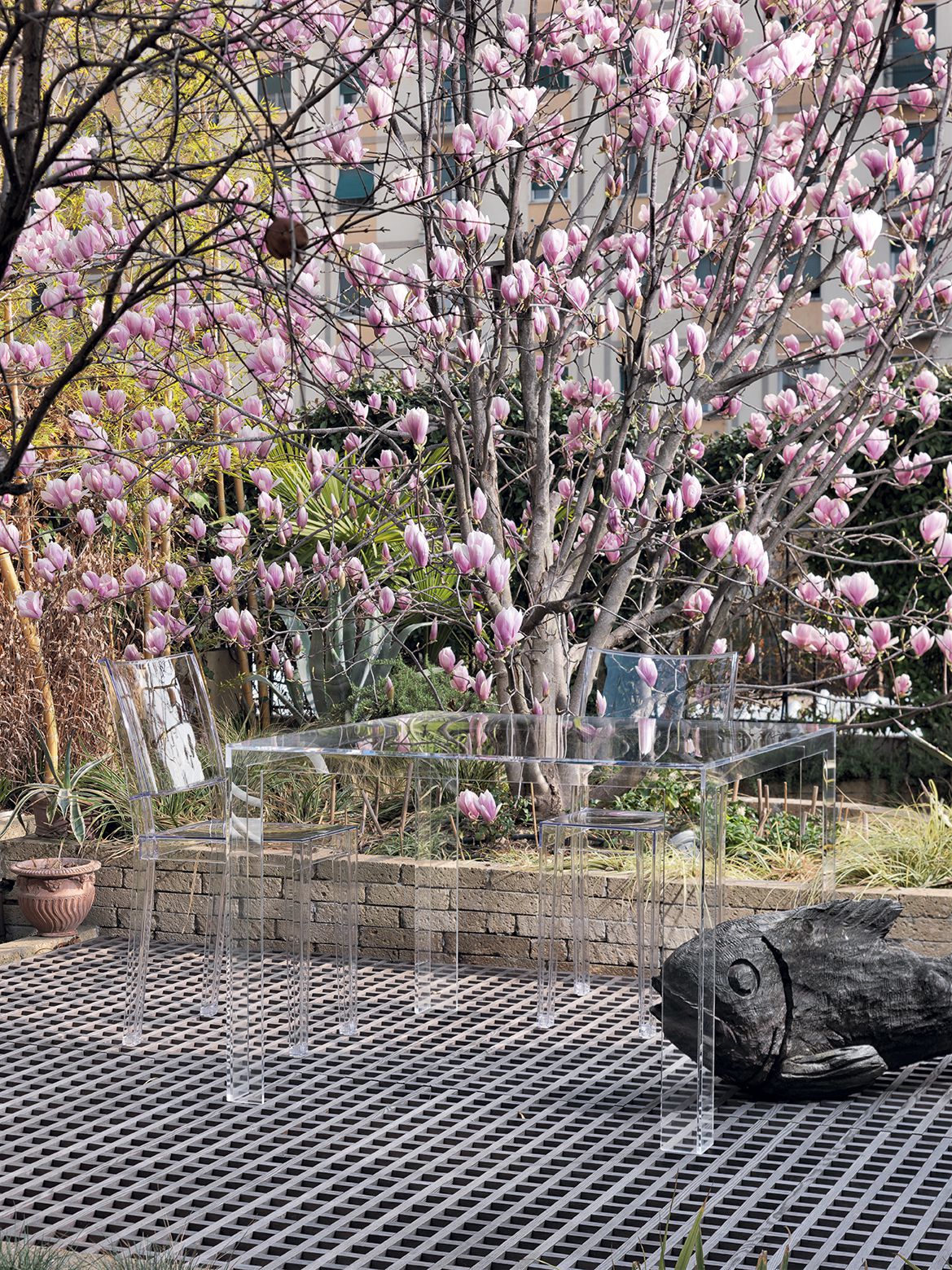 Zwei transparente La Marie Stühle von Kartell im Garten mit blühendem Baum. Designermöbel.