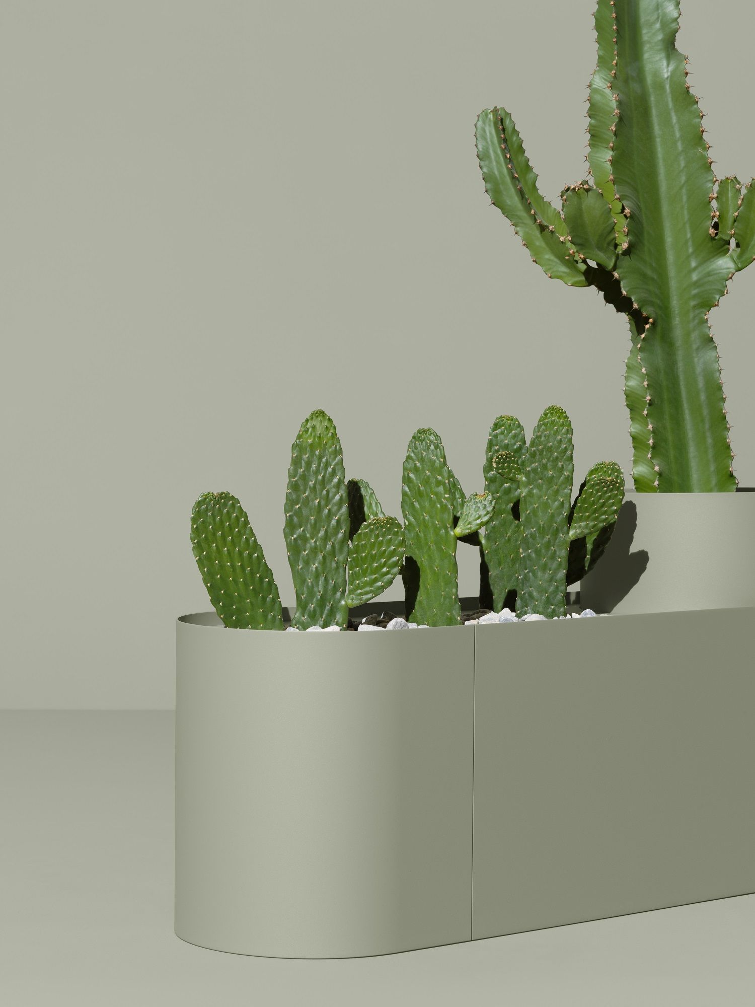 Plant Here Pflanzenbox / Blumentopf Mizetto QUICK SHIP