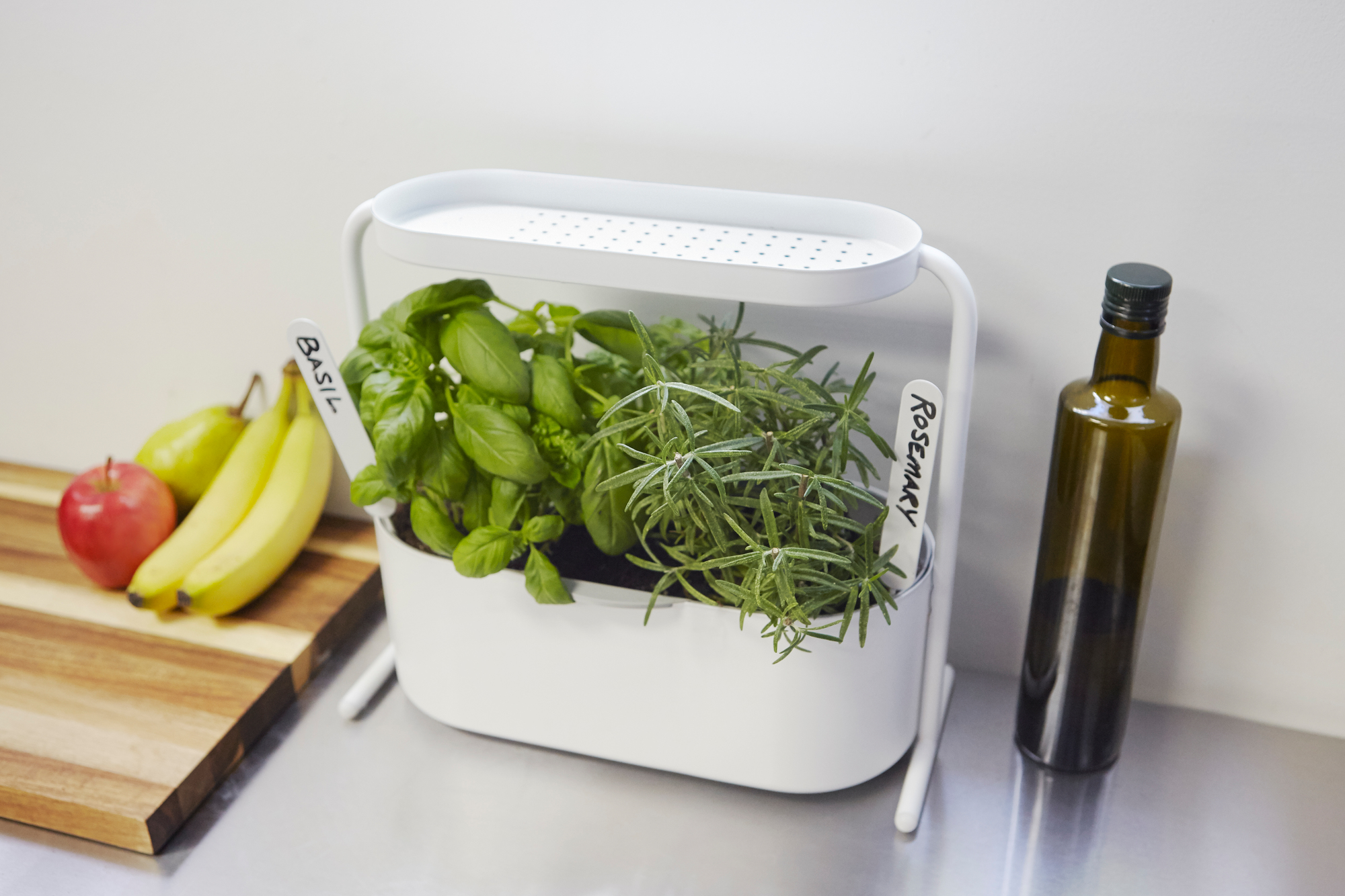 Giardino Planter Kräutertopf Umbra EINZELSTÜCK