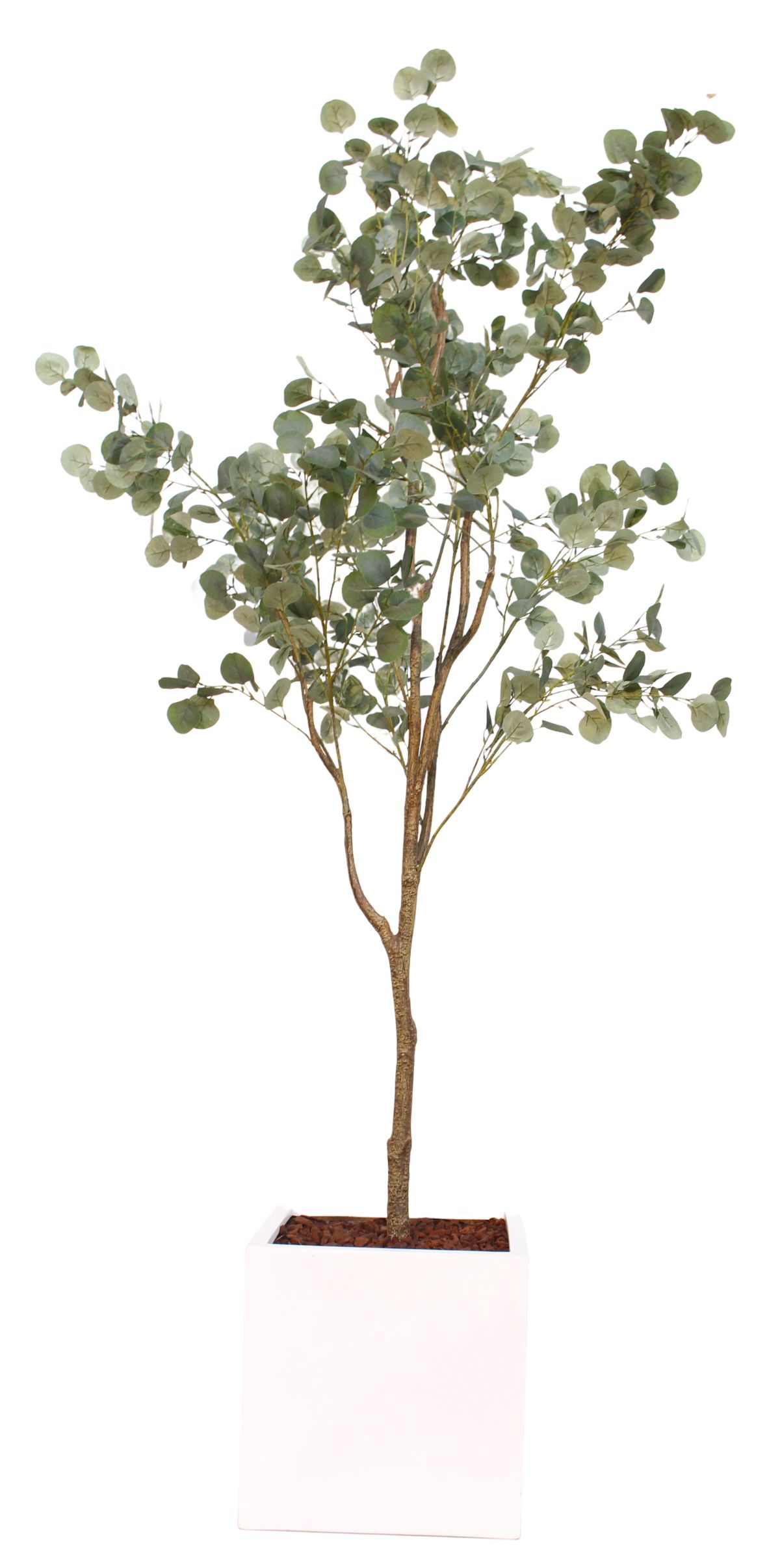 Künstlicher Eukalyptusbaum in modernem Topf, ideal für dekorative Akzente.