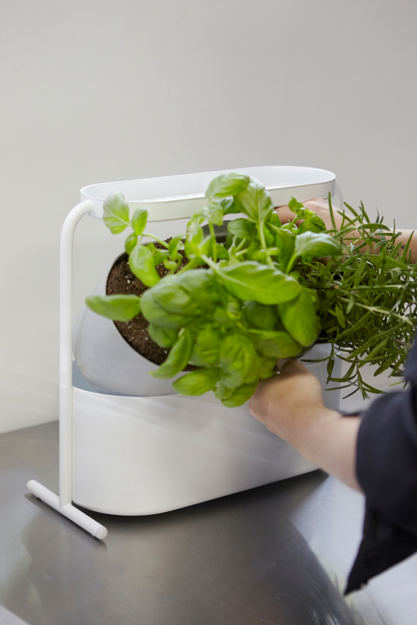 Giardino Planter Kräutertopf Umbra EINZELSTÜCK